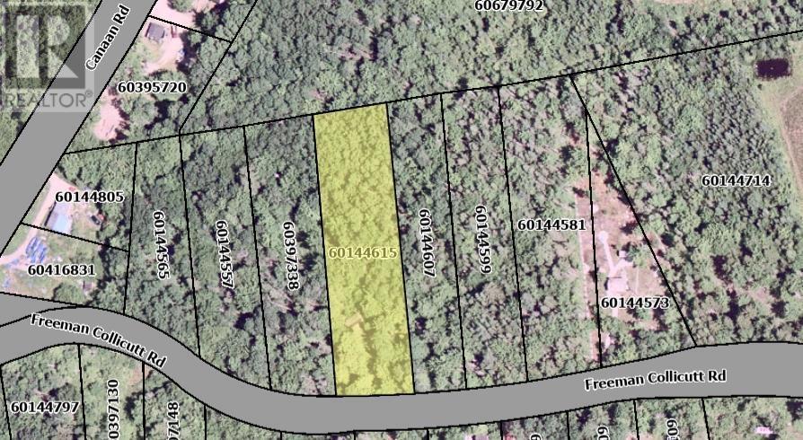 41 Freeman Collicutt Rd, Chester, NS B0J 1J0