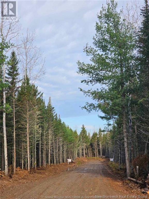 Lot 23-2 B De La Paix, Sainte-marie-de-kent, NB E4S 2L8