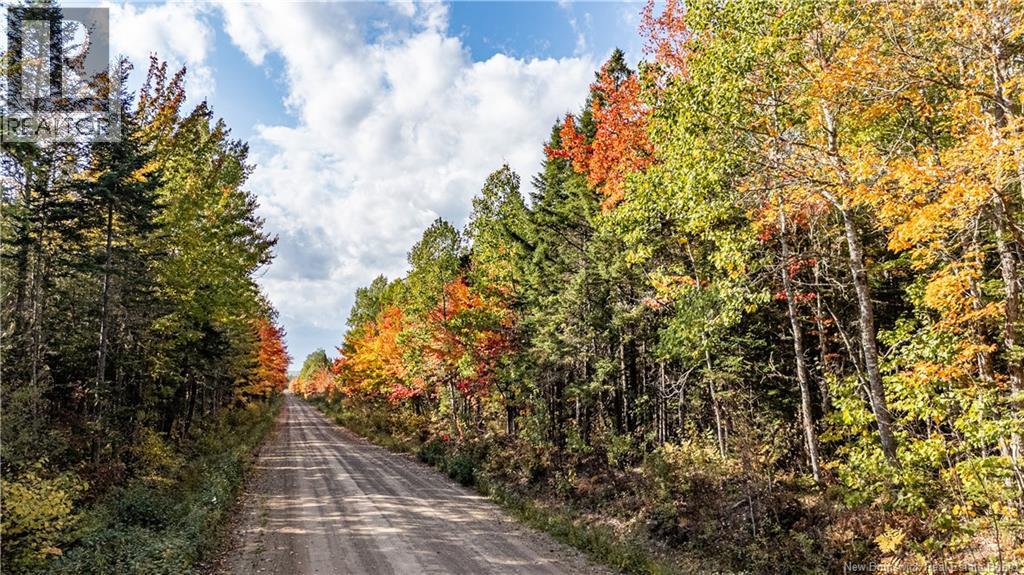 Lot Cormier Village Road, Saint-paul, NB E4T 3H3