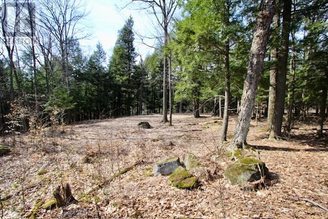 6 22 Gryffin Bluffs Ln, Huntsville, ON P0B 1M0