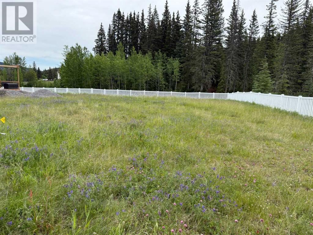 359 Elizabeth Ave, Nordegg, AB T0M 2H0