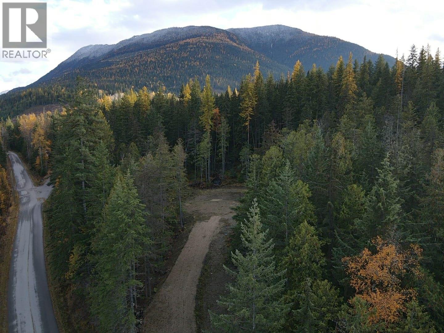 Brouse Loop Road, Nakusp, BC V0G 1R1