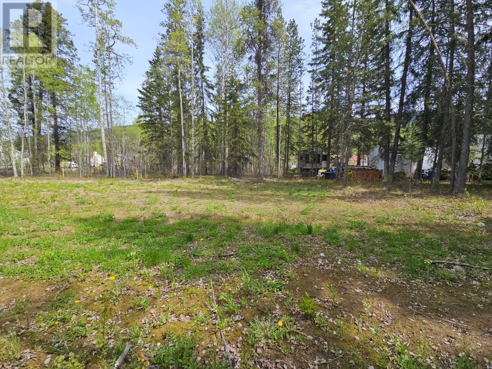 115 Red Willow Ave, Tumbler Ridge, BC V0C 2W0