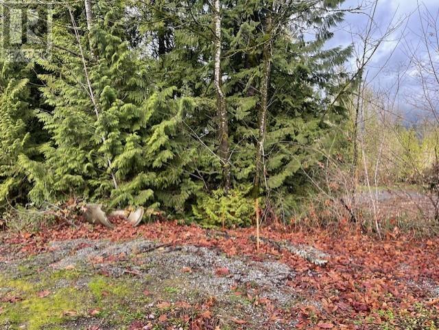 25415 Bosonworth Ave, Maple Ridge, BC V0V 0V0