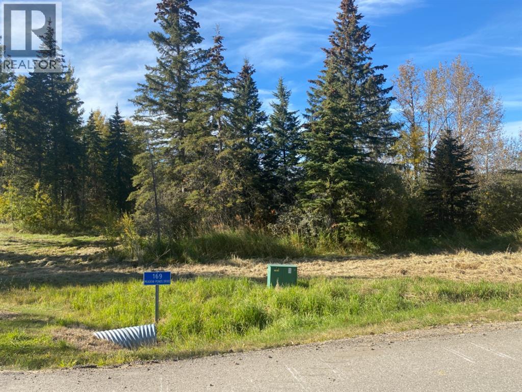 169 Meadow Ponds Dr, Rural Clearwater County, AB T4T 1A7