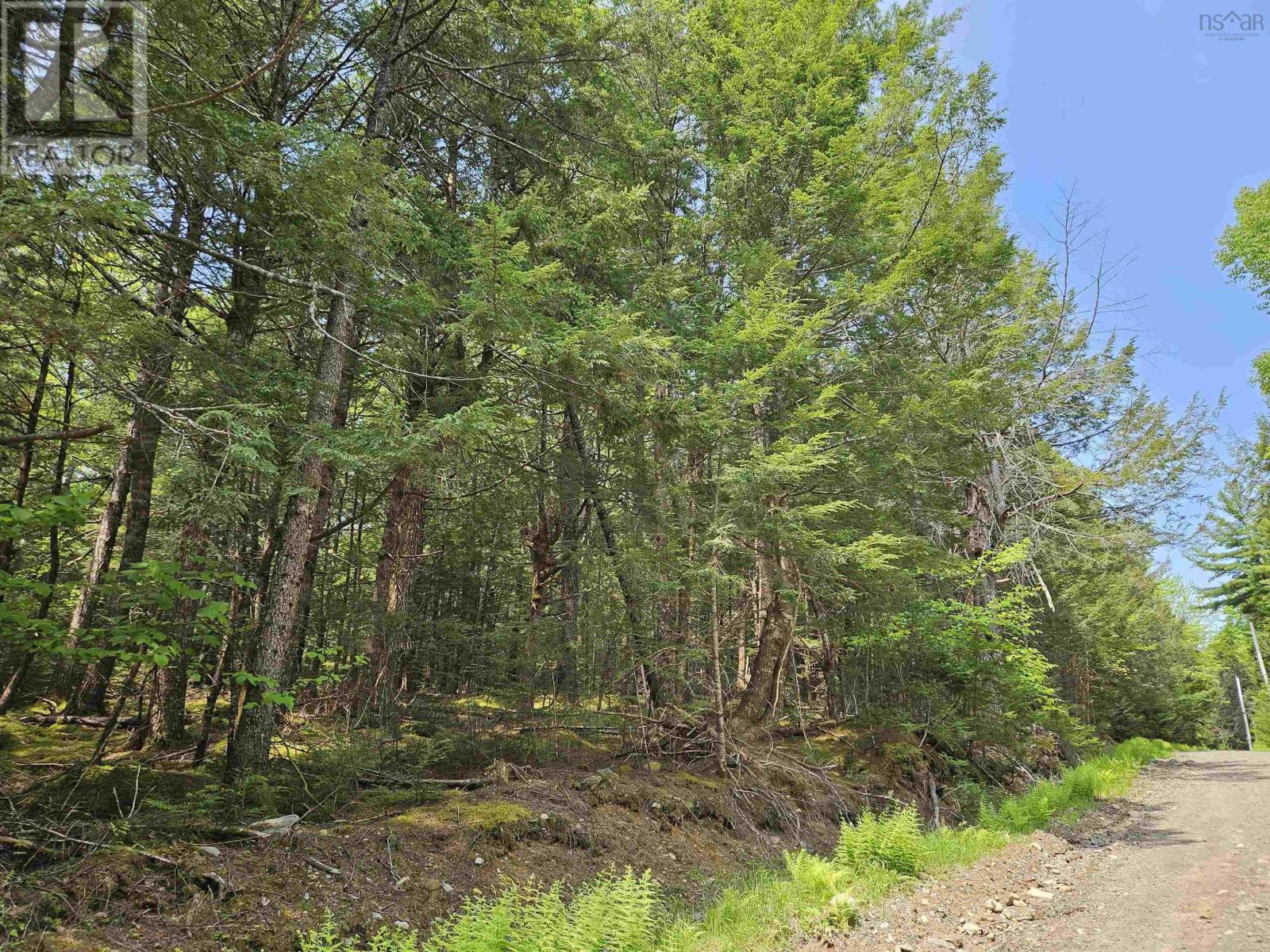 9 Cottage Ln #b, Pleasantfield, NS B0T 1X0