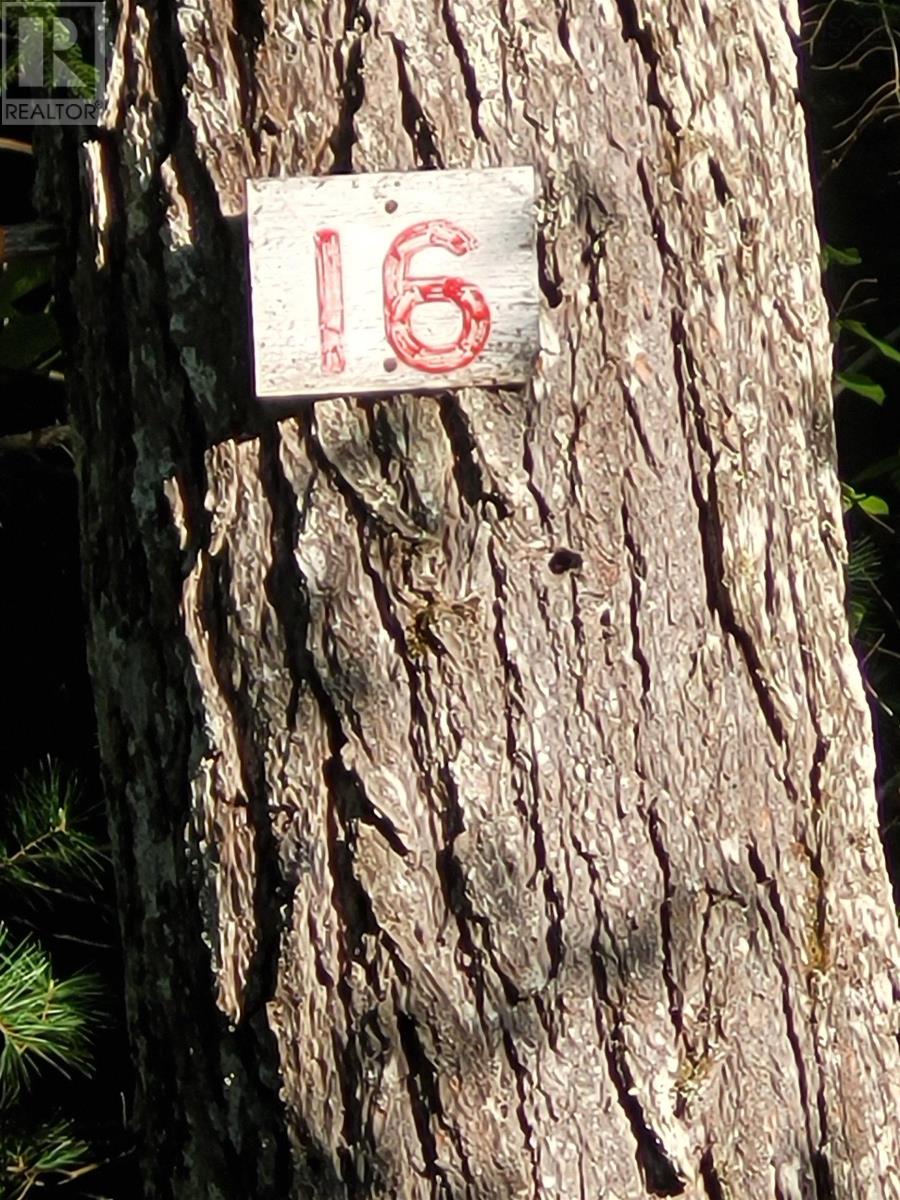 16 Birch Trl, Forties, NS B0J 2M0