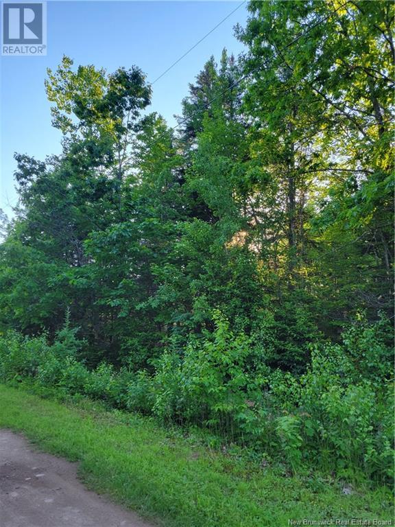 18 Morton Lane #79, Cumberland Bay, NB E4A 3A3