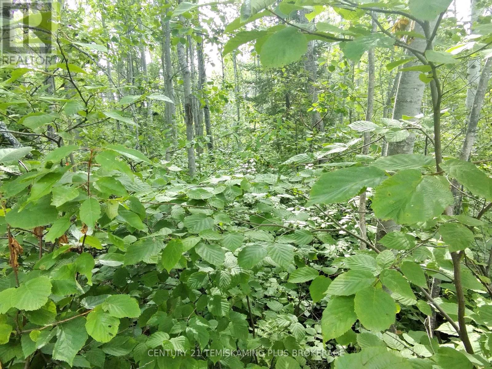 Part 6 Girl Guide Road, Timiskaming Tim - Outside - Rural, ON P0J 1C0