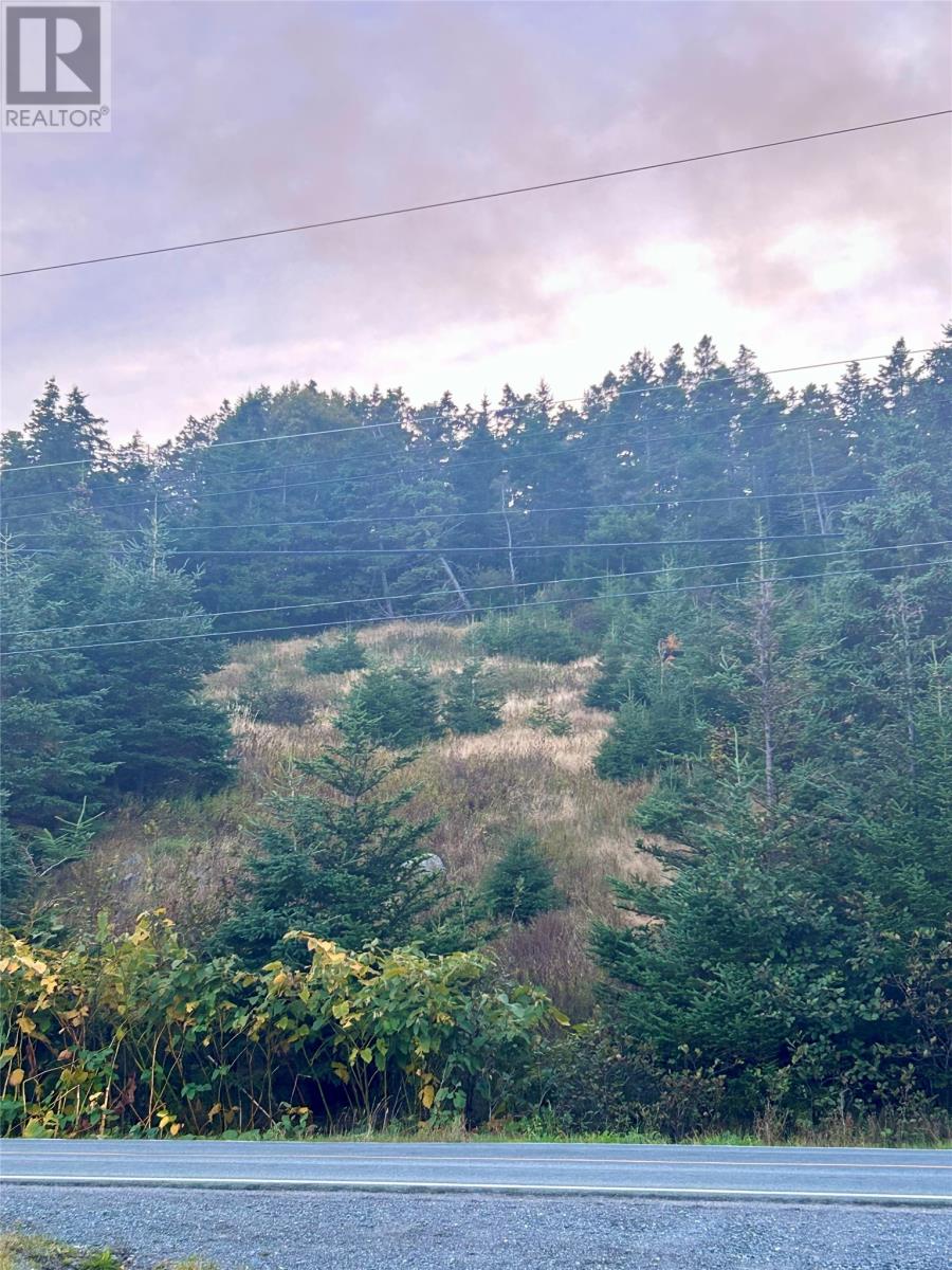 96-104 Bonds Path, Placentia, NL A0B 2Y0
