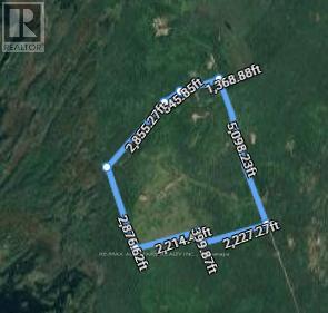 2418 Ledge Rd, Trent Lakes, ON K0M 1A0