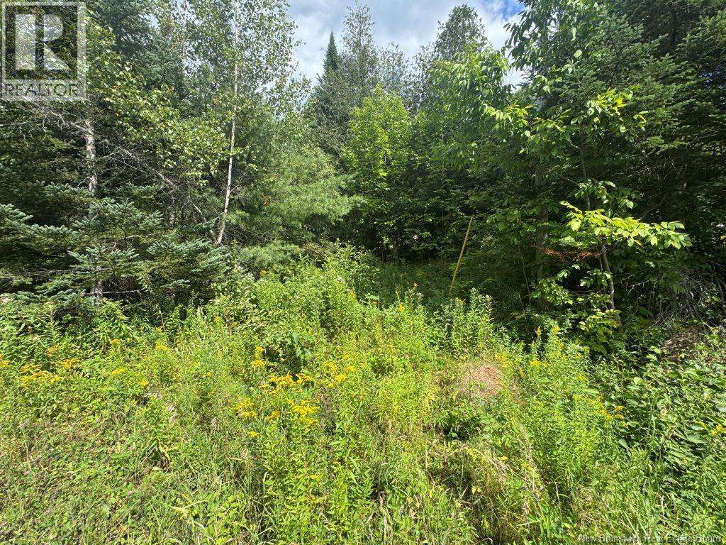 25 Route 620 #-2, Estey's Bridge, NB E3A 6K4