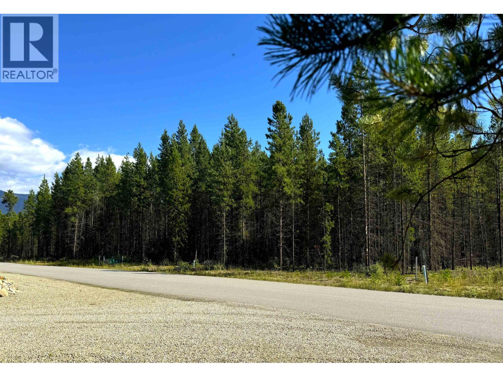 1285 Fowler Pl, Valemount, BC V0E 2Z0