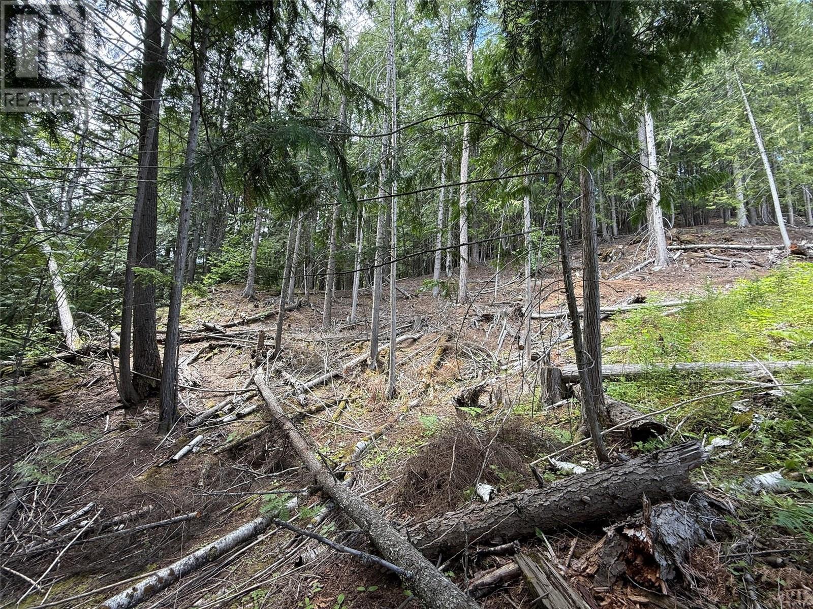 B Avenue Lot APT 16, Kaslo, BC V0G 1M0
