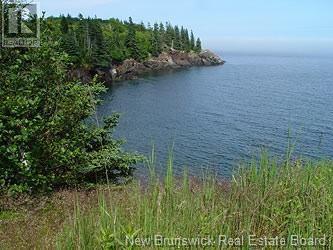 Lot 86-71 Fundy Drive, Campobello, NB E5E 1X2