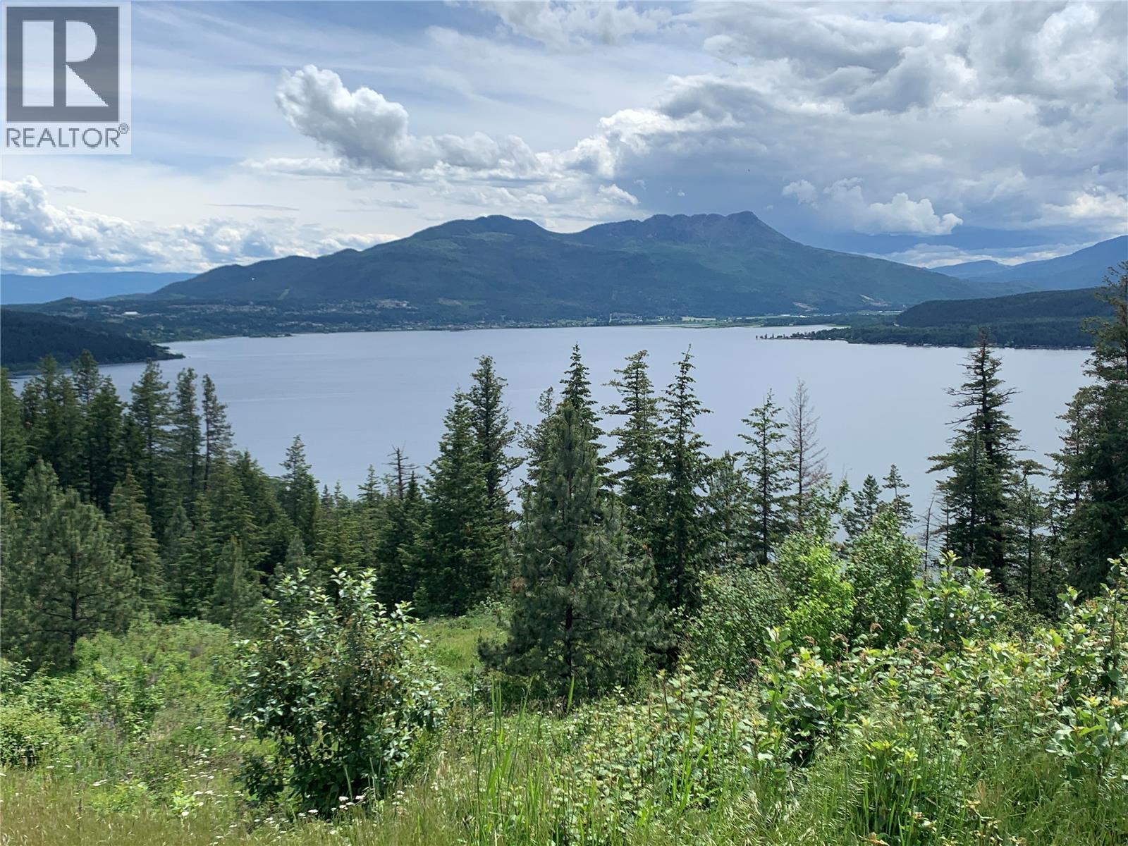 470 Sumac Rd, Tappen, BC V0E 2X1