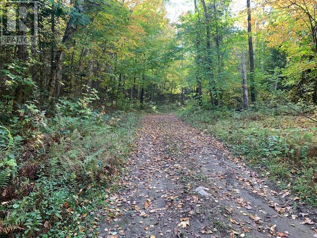 0 Sugar Bush Rd E, Magnetawan, ON P0A 1P0