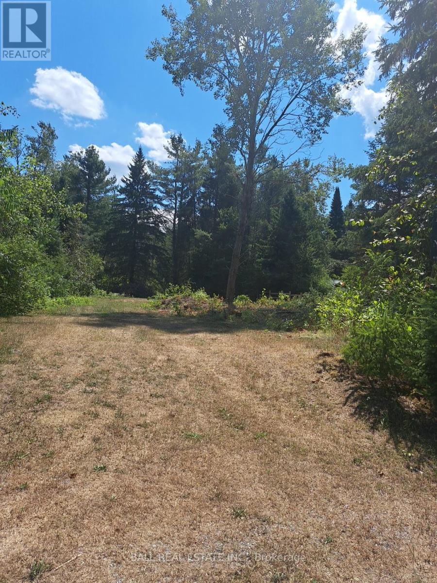 0 The Ave, Kawartha Lakes Kinmount, ON K0M 2A0