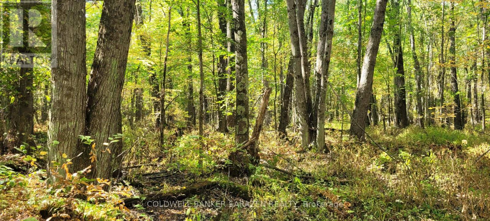 310 Pt/lot 21 Concession 3 Road Rd, Drummondnorth Elmsley, ON K7H 3C7