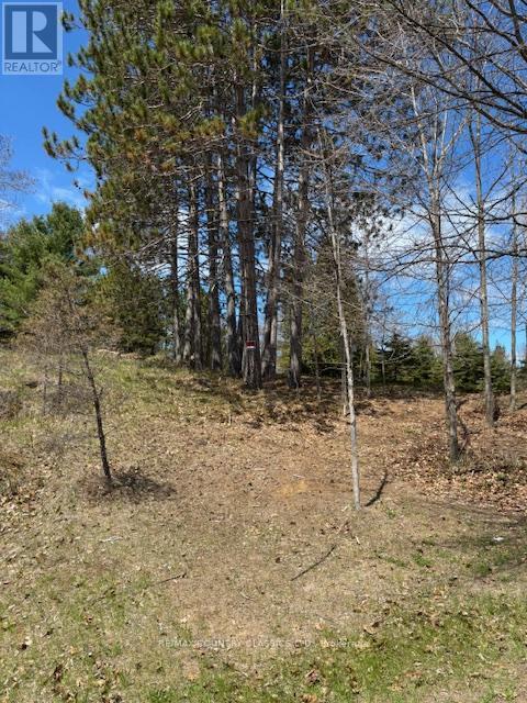 26686 Highway 62 S, Bancroft, ON K0L 2L0