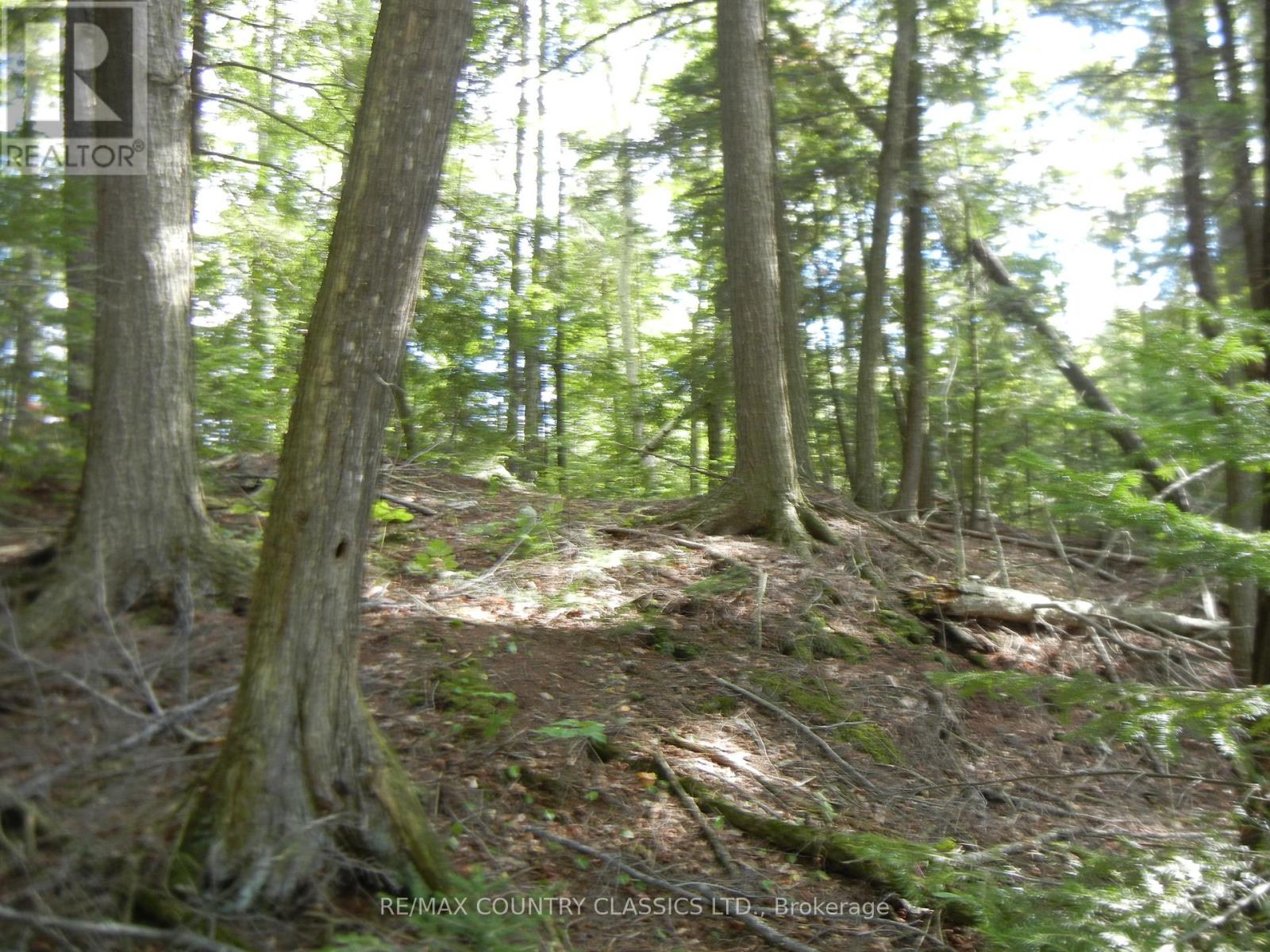 0 Glen Alda Rd, North Kawartha, ON K0L 1A0