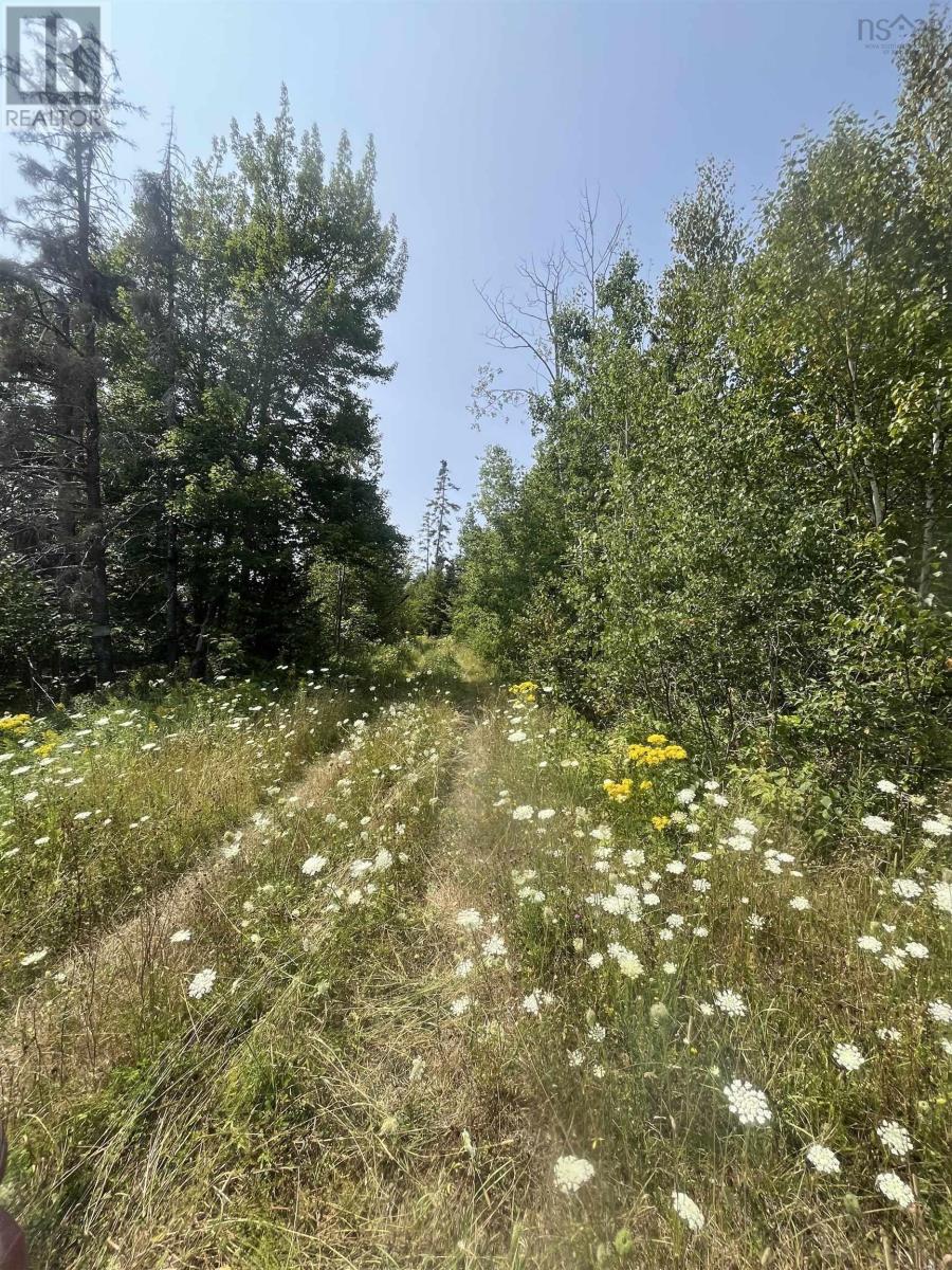 West Bay Highway, Roberta, NS B0E 3K0