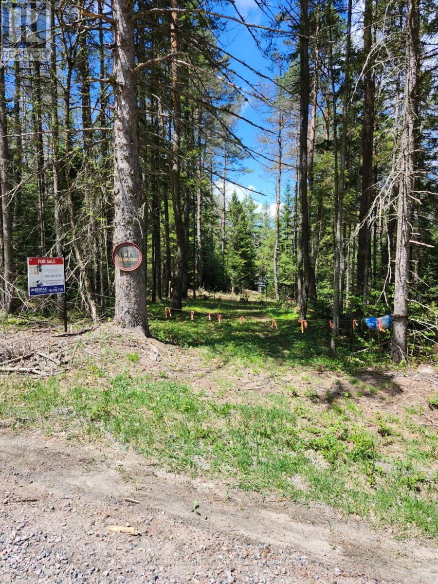 Pt Lots 24 & 25 Con 5 Concession, Ryerson, ON P0A 1C0