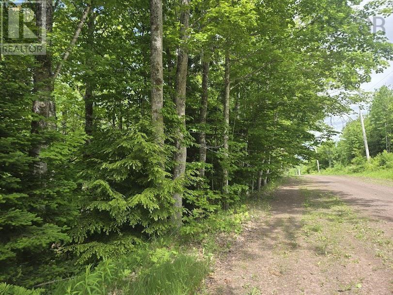 56 Acres Highway 256, East Earltown, NS B0K 1V0