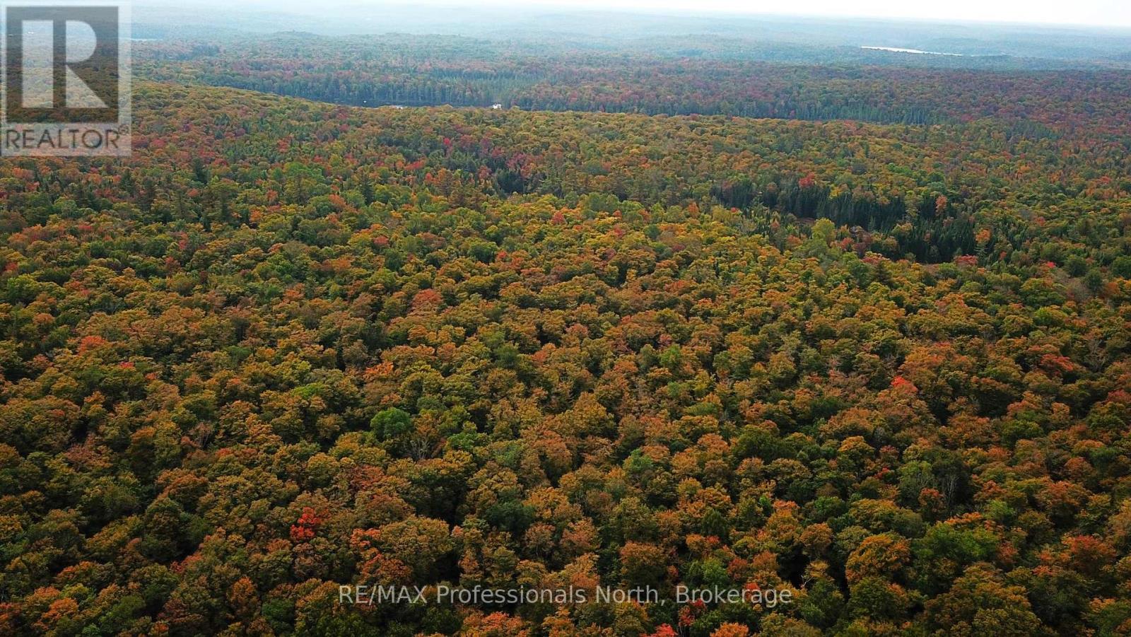 00 S Horn Lake Rd, Magnetawan, ON P0B 1C0