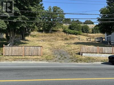 136 Harvey St, Harbour Grace, NL A0A 2M0