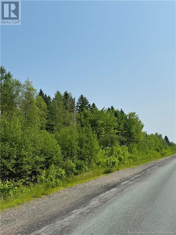 5 Hectares Route 118 Unit 4, Chelmsford, NB E9E 2G8