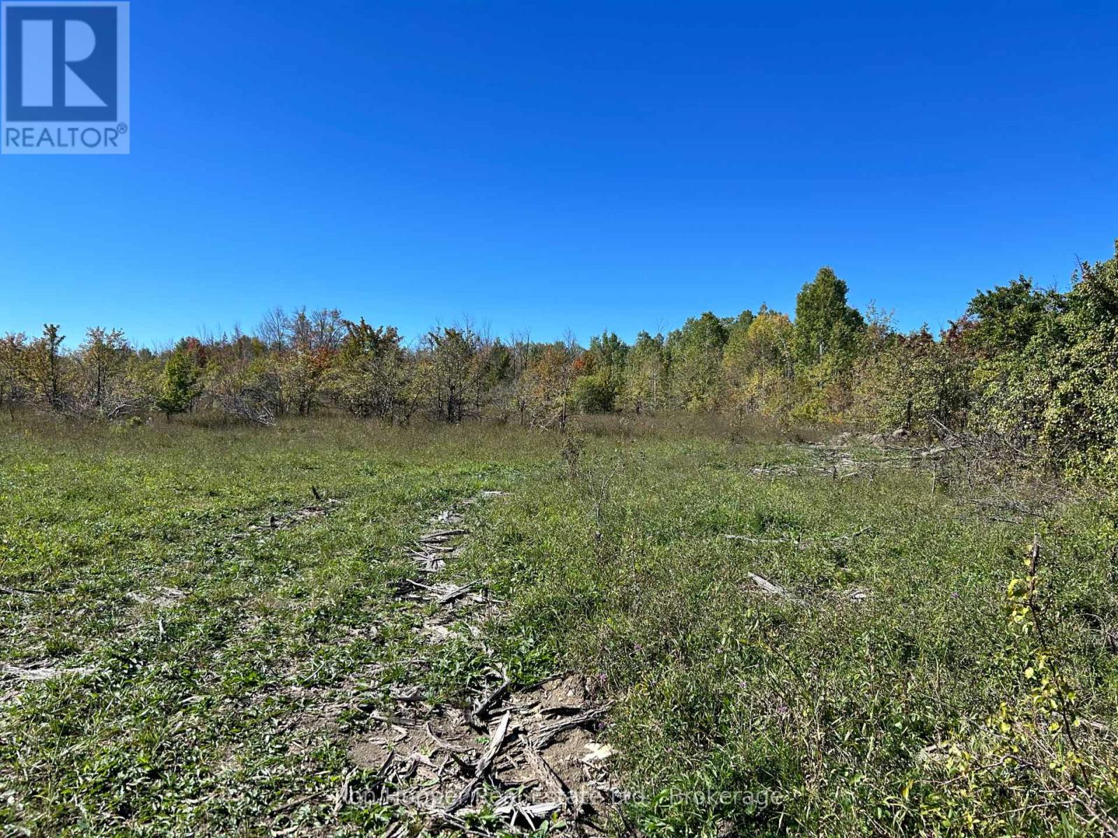 Pt Lt 19 Conc 20 Concession, Georgian Bluffs, ON N0H 1S0