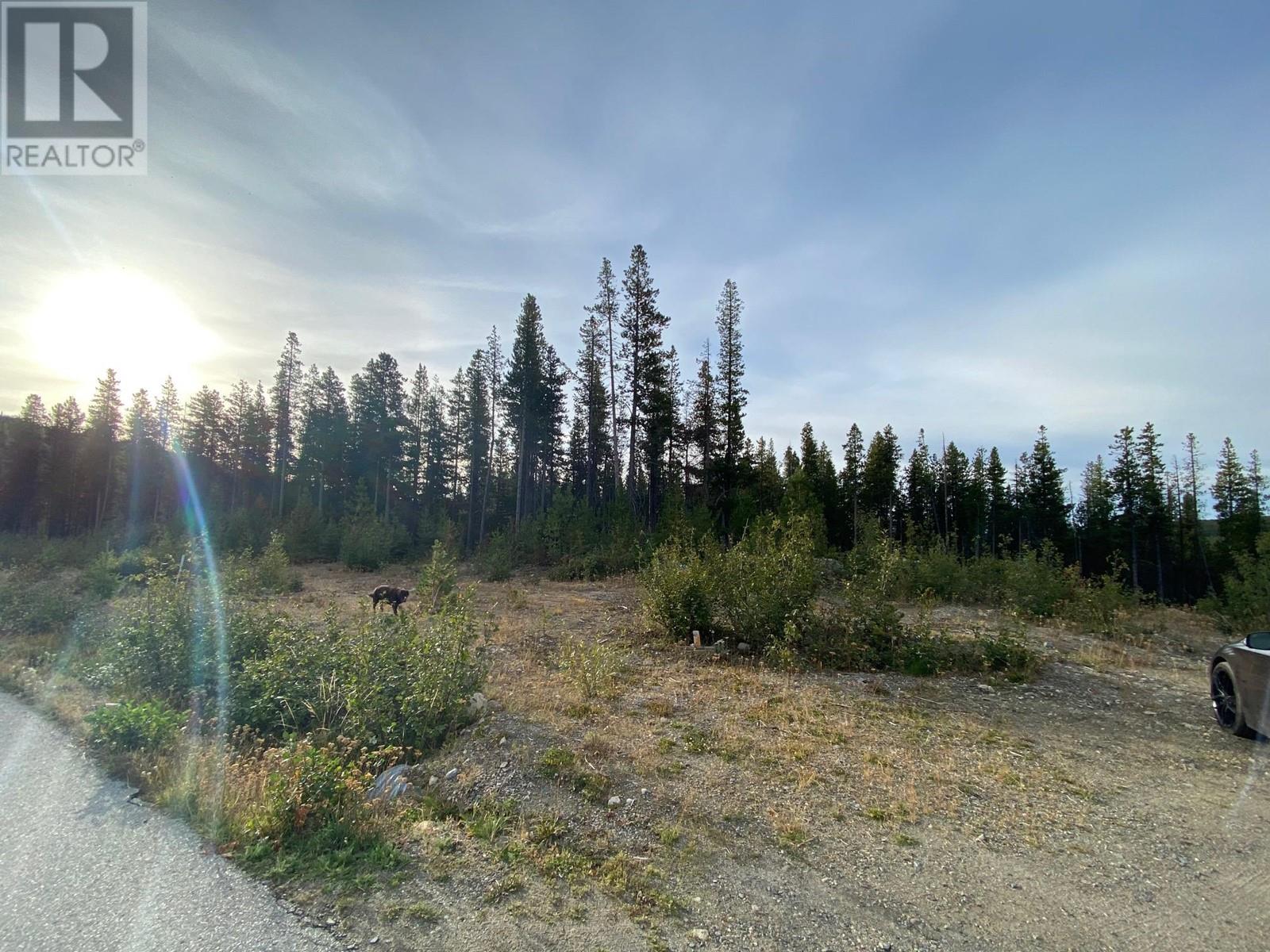 19 Buck Rd, Oliver, BC V0H 1T0