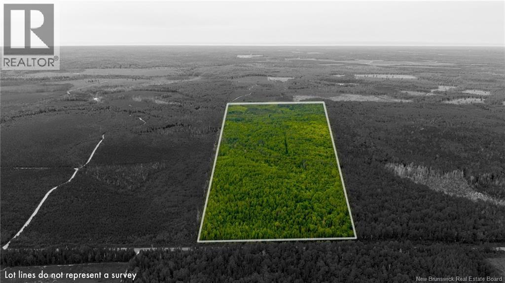 Vacant Land Route 363, Hacheyville, NB E8M 1M9
