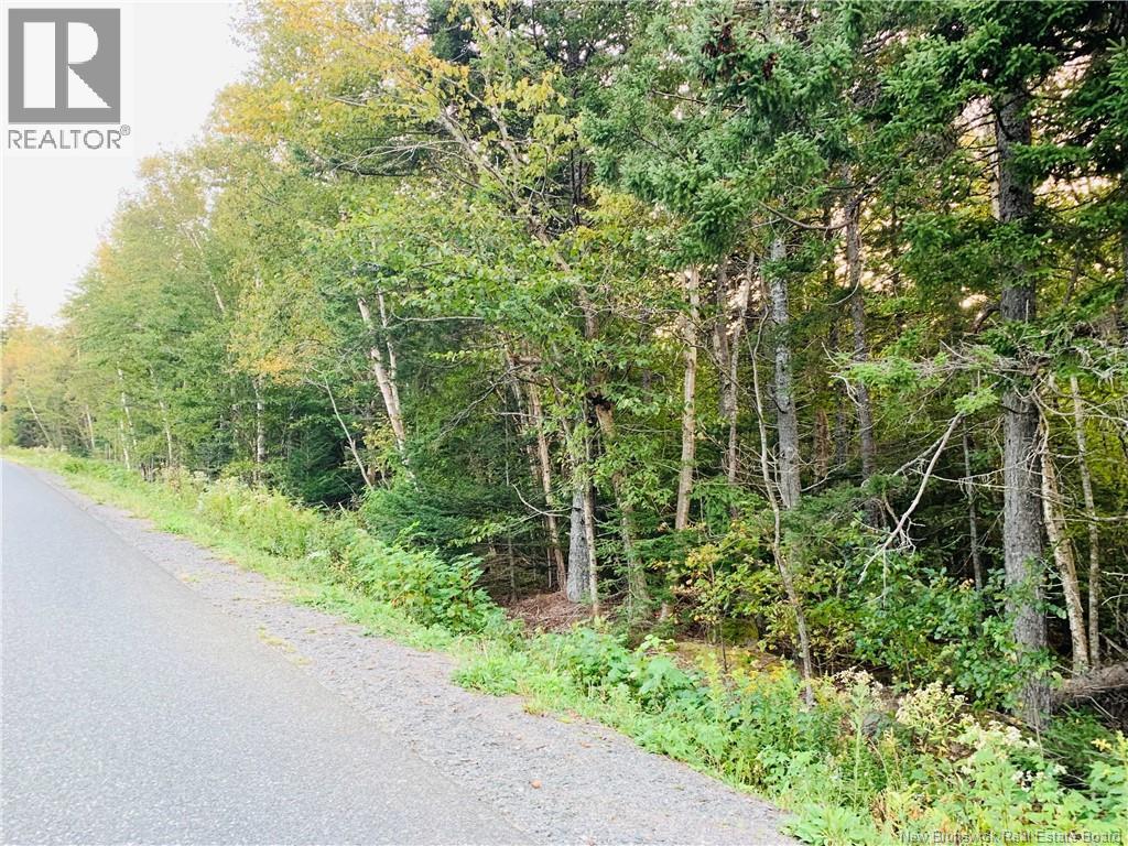 85-42 Bunker Hill Rd, Wilsons Beach, NB E5E 1M3