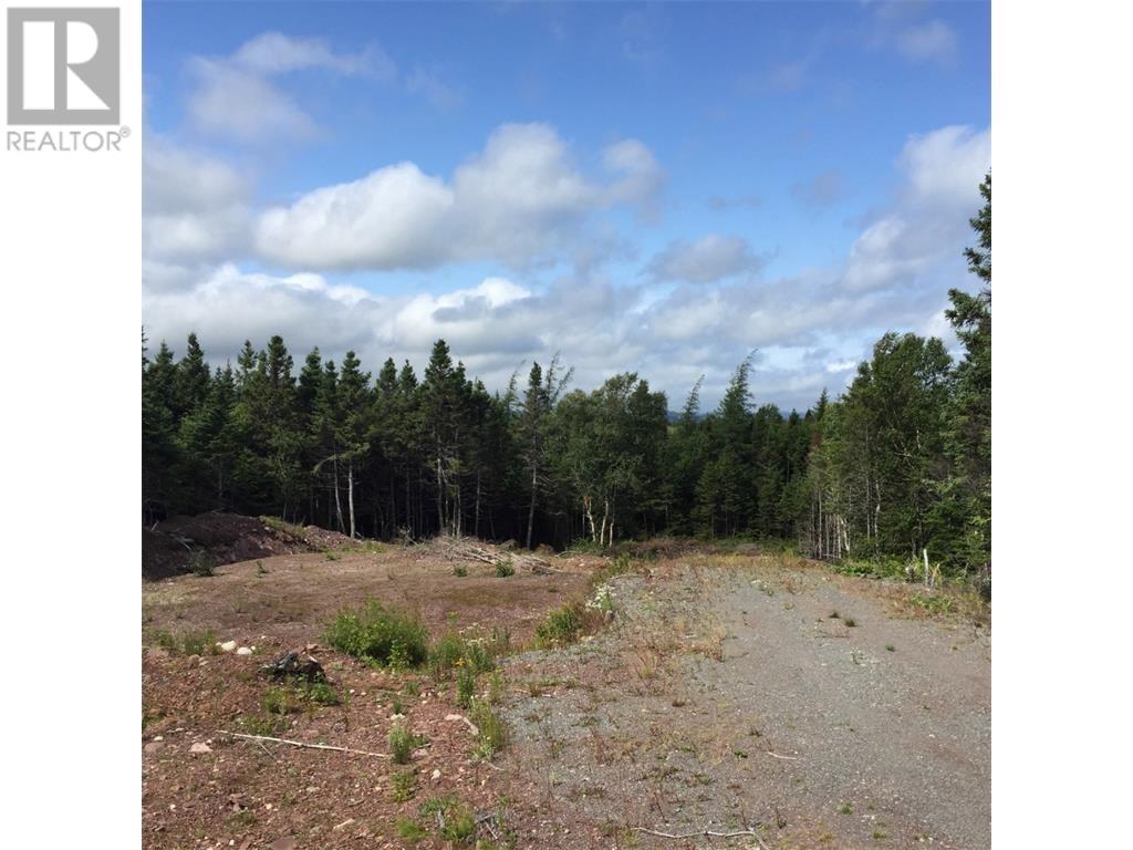 118 Main Rd #b, Bellevue, NL A0B 1B0