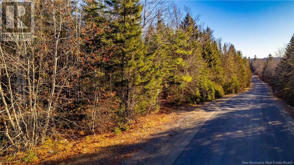 Vacant Land Boyd Road, Clarence Ridge, NB E5A 2G8