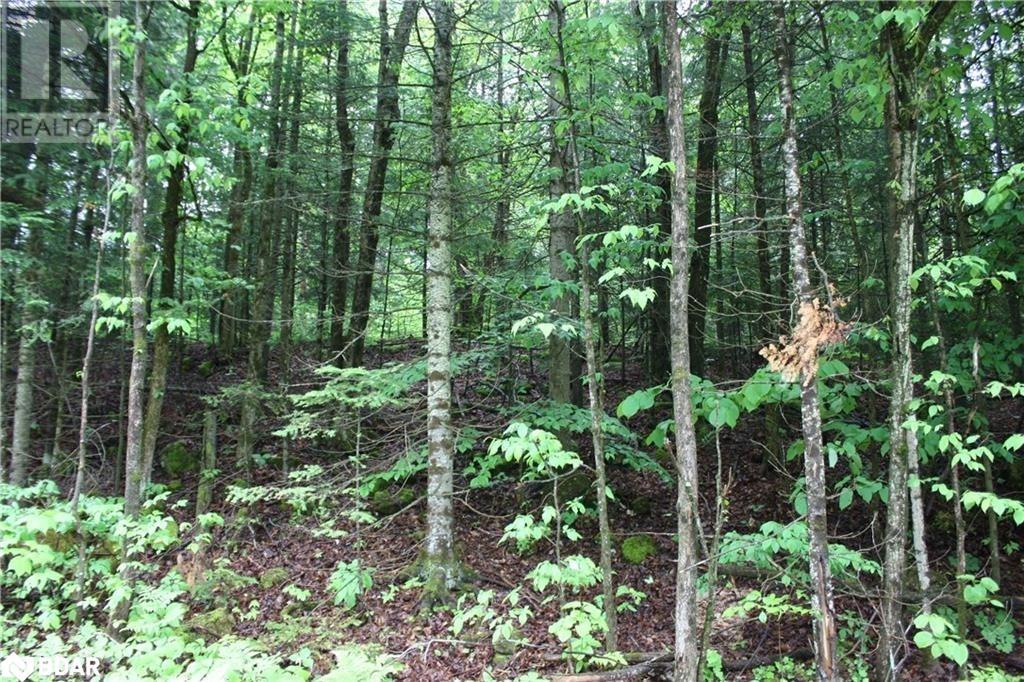 Quarry Road, Bancroft, ON K0L 1C0