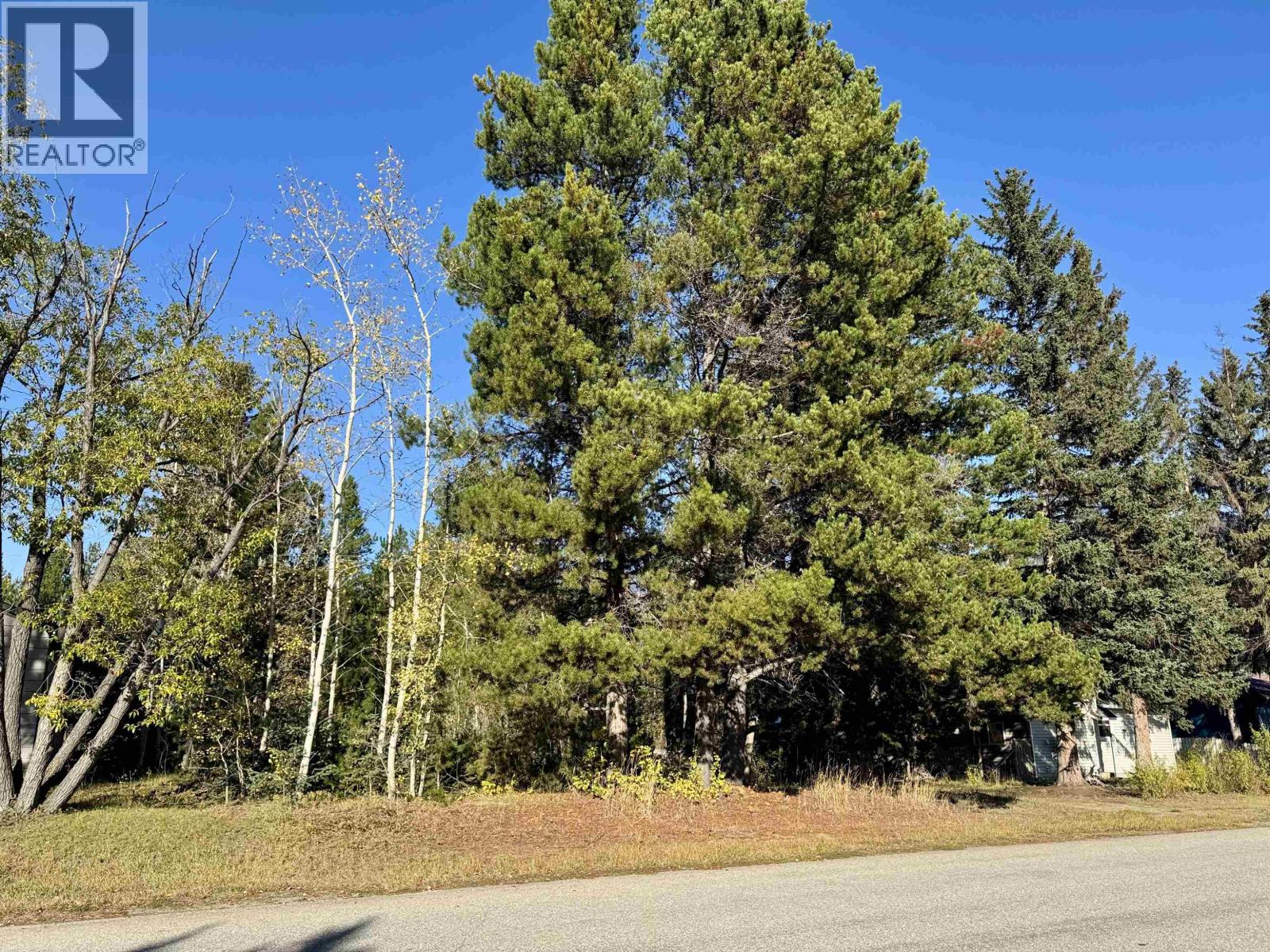 1366 7 Avenue, Valemount, BC V0E 2Z0