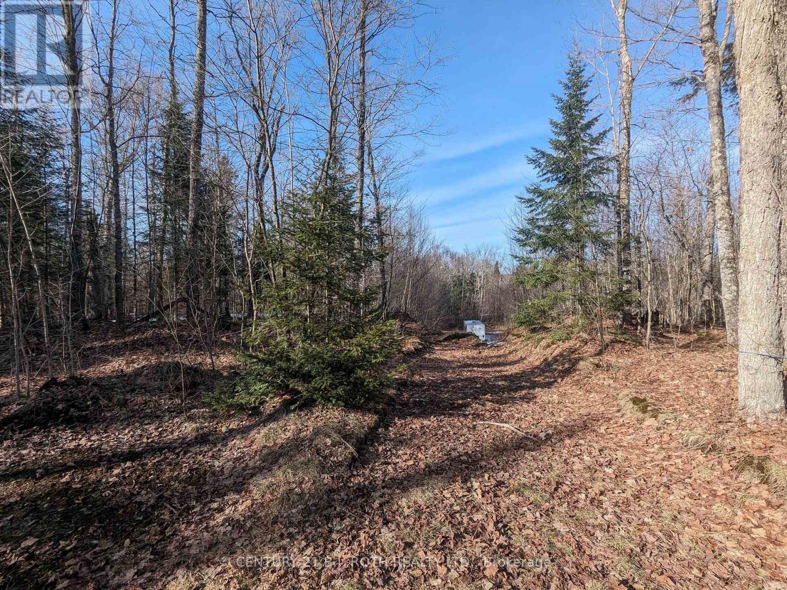 11146 On-118 Hwy, Algonquin Highlands, ON K0M 1J1