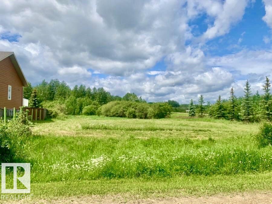 433 Swedberg St, Rural Wetaskiwin County, AB T0C 2V0