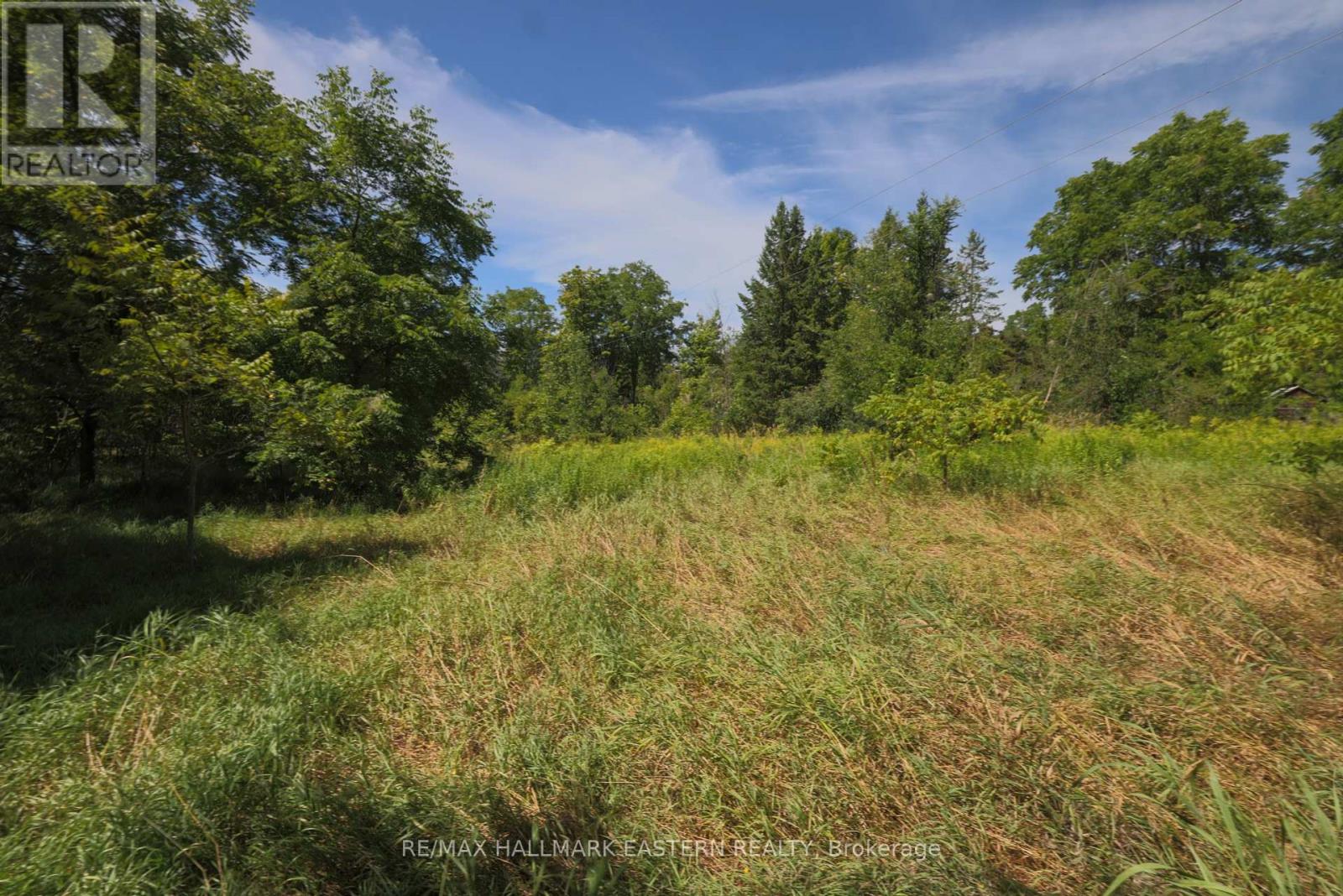 0 County Road 29, Douro-dummer, ON K0L 2H0