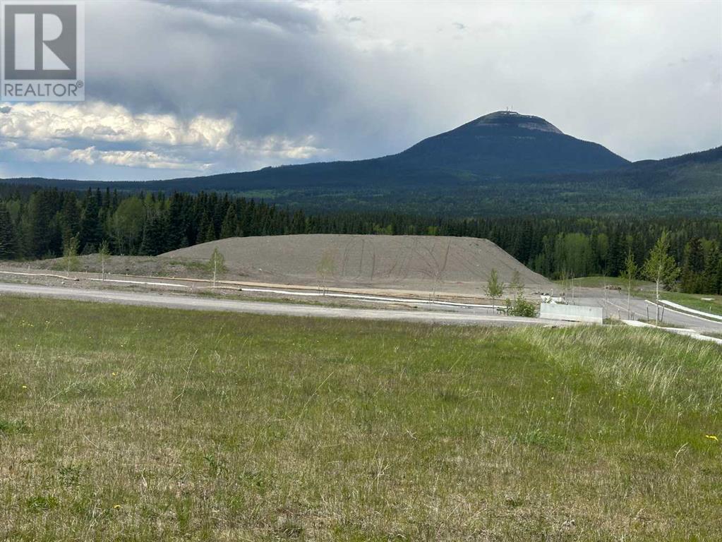 304 Elizabeth Ave, Nordegg, AB T0M 2H0