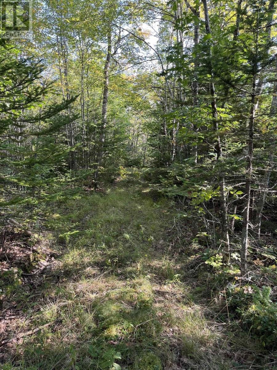 10 E Dalhousie Rd, Dalhousie, NS B0R 1H0