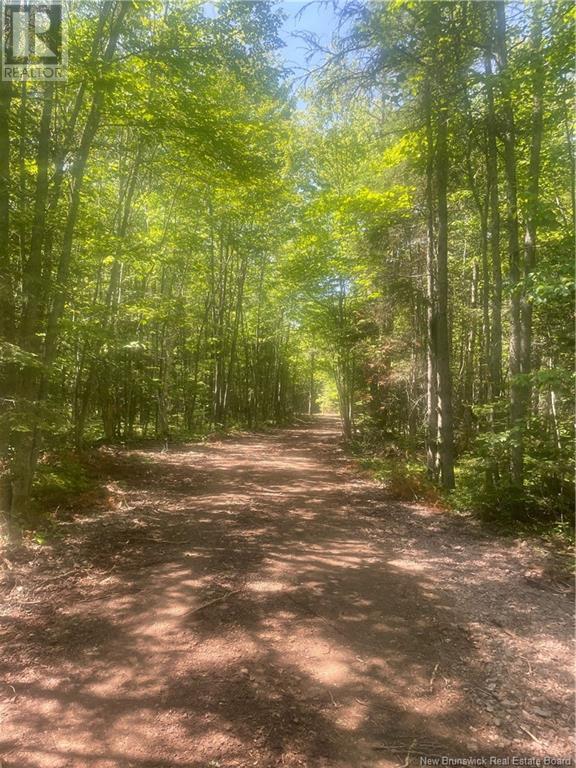 Cox Point Road, Cumberland Bay, NB E4A 2Y8