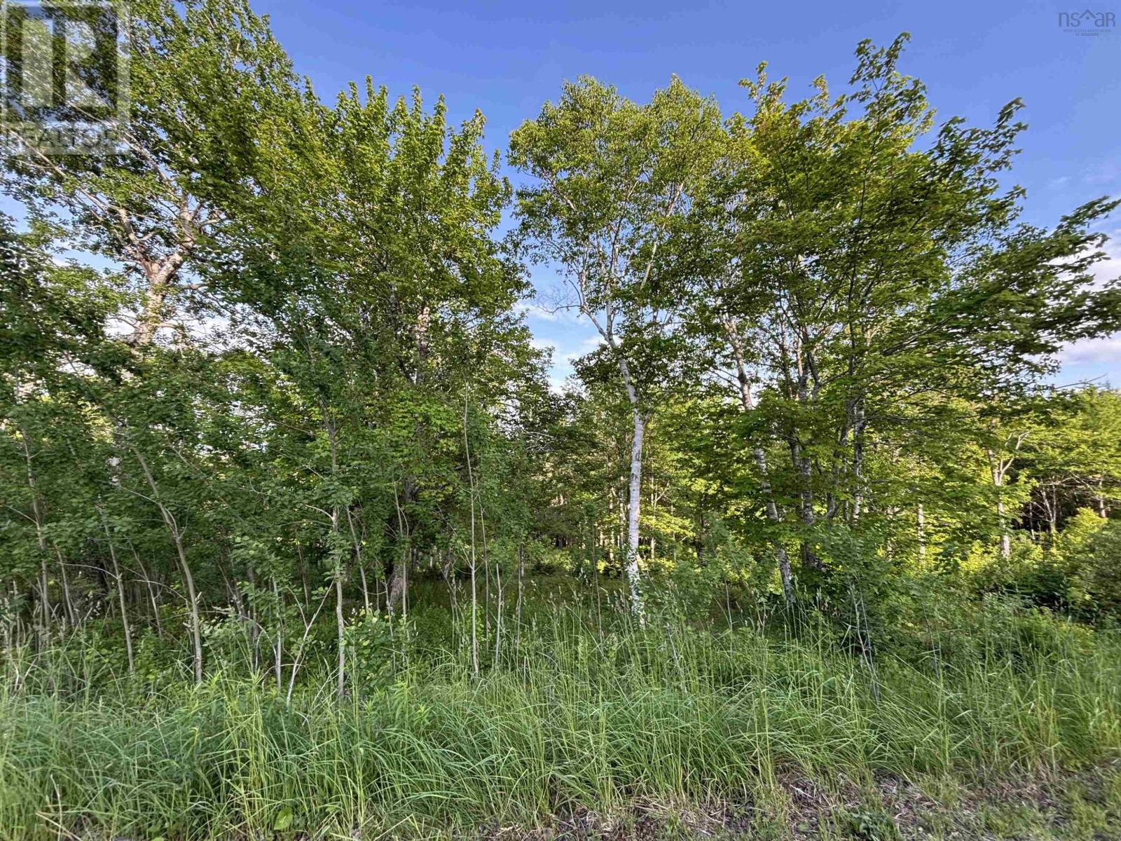29 Parkland Pl, Dalem Lake, NS B1Y 2X9