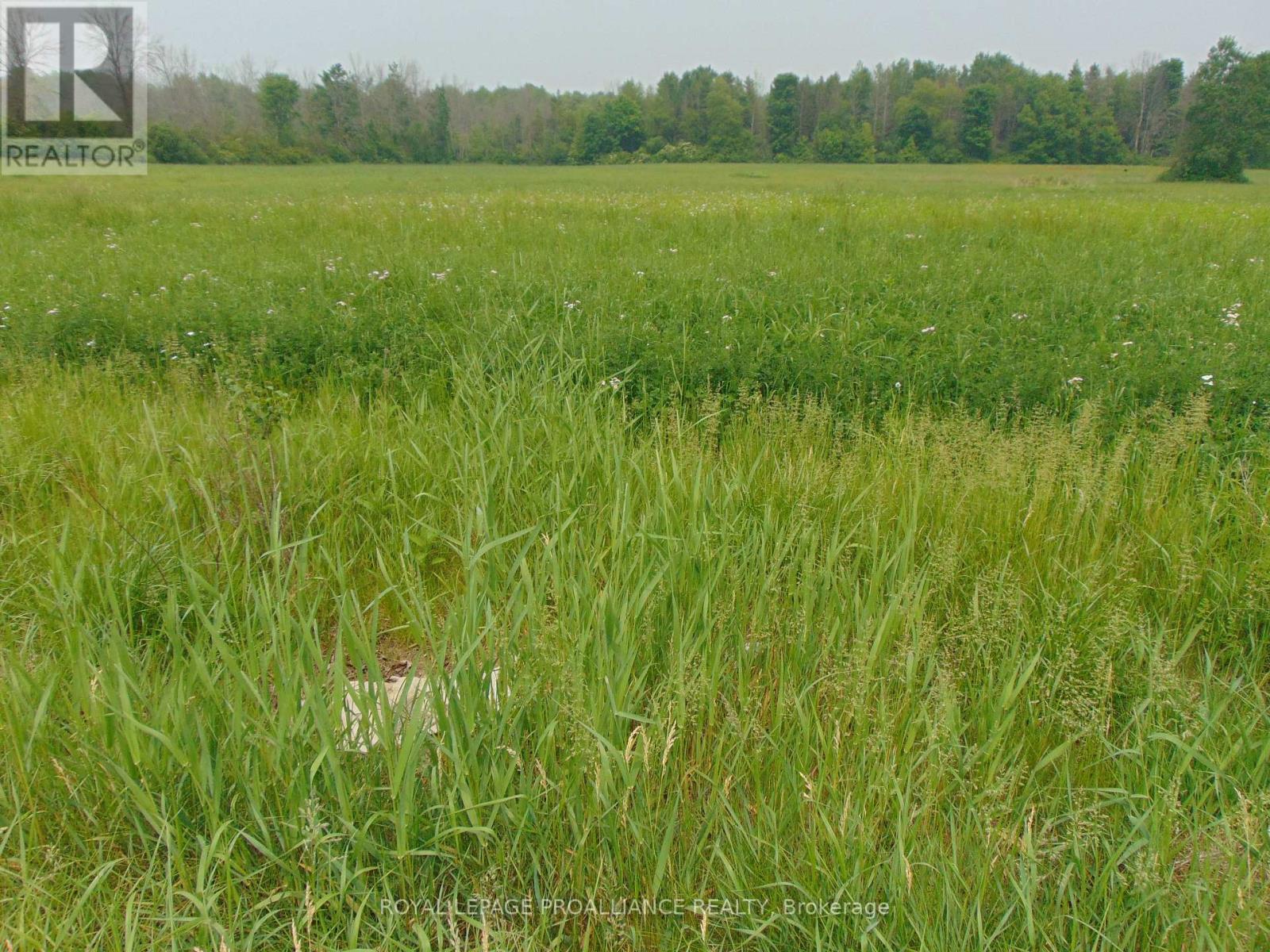 00 Charleville Rd N, Augusta, ON K0E 1T0