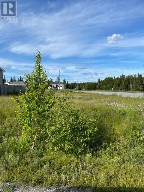 40 Grace Ave, Deer Lake, NL A8A 0B6