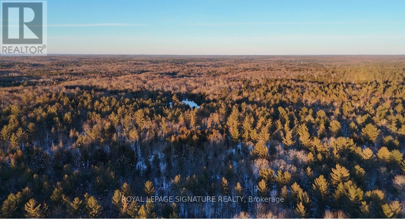 Lot 15 Con 5 Macaulay, Bracebridge Macaulay, ON P1L 1E9