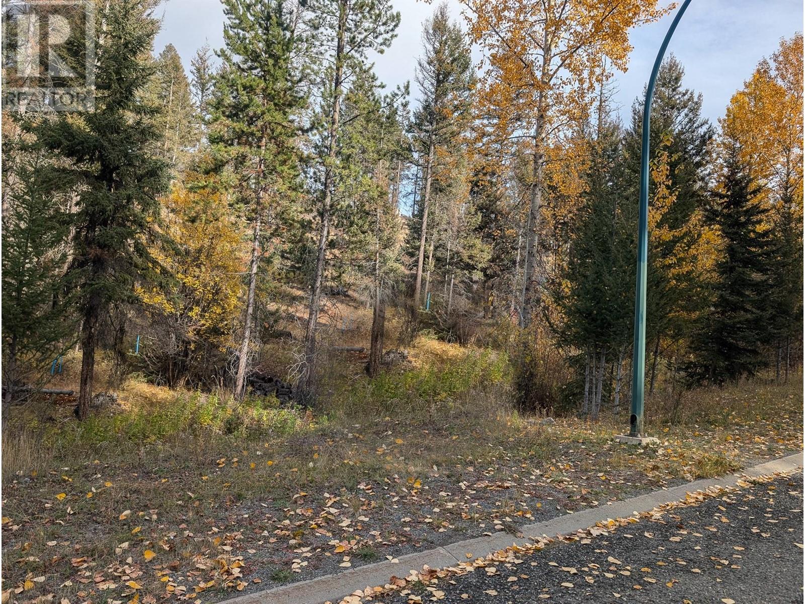 339 Poplar Dr, Logan Lake, BC V0K 1W0